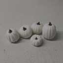Winlyn 5Pcs Assorted Sizes Fall Artificial Pumpkins Harvest Pumpkins Faux Foam Pumpkins for Fall Autumn Season Halloween Thanksgiving Harvest Holiday Season Festive Tabletop Decoration (White)