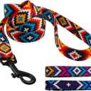 CollarDirect Aztec Dog Leash Nylon Tribal Pattern Cat Pet Leashes for Small Medium Large Dogs Puppy Lead 5 FT Long for Walking (Pattern 3, S, New)