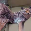 Bird-X 2D Hunting Coyote Predator Decoy - Targets Canada Geese, Deer and Rabbits Deterrent, Yard Ornament