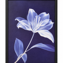 3 x Framed Blue Lily Flower Wall Art, Purple Botanical Canvas Print with Black Frame for Home Decor