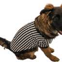 Midlee Referee Dog Halloween Costume (Large)