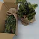 MINDELF Set of 2 Mini Christmas Tree, 12 in Pre-lit Tabletop Xmas Decorations with 8 Warm LED Lights, Battery Operated with Timer, Burlap Base Artificial Pine Tree for Indoor Desk Office Dorm