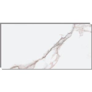 Dumawall+ Waterproof Wall Tiles, Easy-to-Install, Tongue & Groove System, UV Resistant, Strong & Durable | No Grouting, Cut with Hand Tools, Rome Polished Marble (16 Pack: 11.81" x 23.62")
