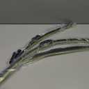 Wenyant 24"/ 20"/ 11" Windshield Wipers Compatible with Ford Escape 2020-2023 Front and Rear Wiper Blades for My Car Original Equipment Automotive Replacement (Set of 3)