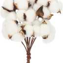 1 Set Bouquet Cotton Dry Fake Foam Flowers Dry Cotton Ball Stems House Decorations for Home Party Decorations Fake Plant Spray Natural