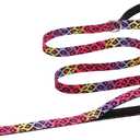 Hikiko Padded Two-Handle Dog Leash 6 Ft for Medium to Large Dogs, Strong Traffic Handles Lead for Walking Training (Gradient Leopard) (1 in x 6 ft)