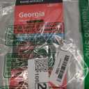 Rand McNally Easy to Read: Georgia State Map