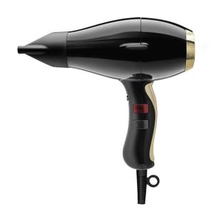 Elchim 3900 Healthy & Light Ionic Professional Dryers, Lightweight with 2 Concentrators Included, Multiple Color Options (Black & Gold)