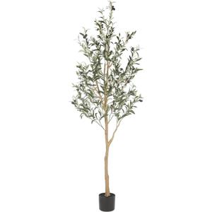 Realead 6ft Artificial Olive Tree, Tall Faux Olive Tree Plants, Fake Potted Olive Silk Tree with Branches and Fruits, Artificial Trees for Modern Home Office Living Room Floor Decor Indoor (72in)