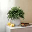 16 Pcs Artificial Norfolk Pine Branches - Real Touch Pine Stems Fake Plants Pine Picks Faux Greenery Stems for Vase DIY Crafts Garland Wreath Christmas Indoor Outdoor Home Decor