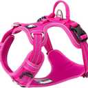 TRUE LOVE Dog Harness No Pull Nylon Reflective Pet Harness Adjustable Comfortable Control Step-in Brilliant Colors Truelove TLH56512 Fuchsia, Medium