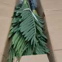 7FT Fake Palm Trees, Artificial Golden Cane Palm Tree 84IN, Green Large Tropical Palm Fake Plant in Pot for Indoor Outdoor, Living Room Outside Patio Office Home Decor
