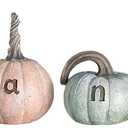 The Lakeside Collection 6-Pc. Thanks Pumpkin Set