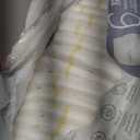 Bambo Nature Hypoallergenic Training Pants, EcoLabeled Training Pants, Totally ChlorineFree  Size 6 (19 Count)