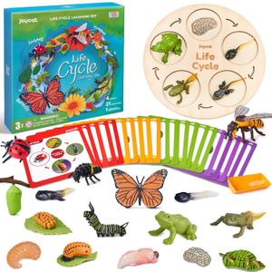 JoyCat Life Cycle Learning Education Toys, Insect Caterpillar to Butterfly kit, Ladybug, Bee, Tadpole to Frog Kit Life Cycle Toys for Kids, Preschool Learning Activities for Age 3 4 5 6 7 8