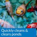 API POND SIMPLY CLEAR Pond Water Clarifier 16-Ounce Bottle (248B)