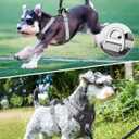 TagME No Pull Dog Harness with 2 Leash Clips,Lightweight & Visible for All-Day Walking, No Choke Pet Vest Includes AirTag Holder for Small Dogs,Black (Dark Gray)