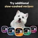 Cesar Filets in Gravy Adult Wet Dog Food Variety Pack, Filet Mignon and New York Strip Flavors, 3.5 oz. Easy Peel Trays, Variety Pack, 12 Count (EXP 12/31/27)