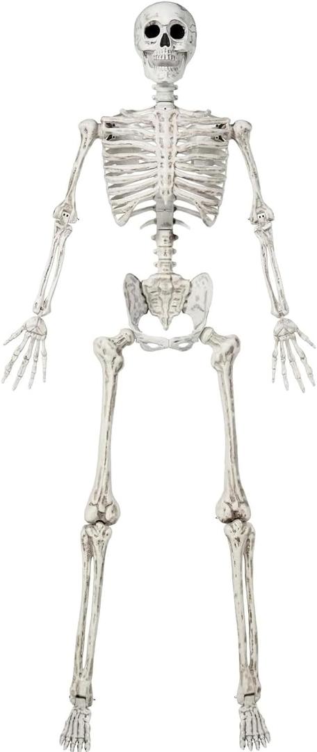 JOYIN 6.9 FT Halloween Posable Life Size Skeleton, Full Body Realistic Skeleton Bones with Movable Joints for Halloween Indoor Outdoor Party Decoration, Spooky Scene Props, Haunted House Decor, White 