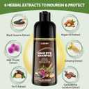 Brown Hair Dye Shampoo for 100% Gray Coverage - 3 IN 1 Hair Color Shampoo with Argan Oil & Ginseng, Ammonia & Paraben Free, Long Lasting Semi-Permanent Natural Color for Women & Men