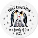 2 x 2nd Baby Christmas Ornaments 2025 for Mom, Our First Christmas As A Family of Four Ornament - Keepsake Gifts for Second Time Mom and Dad of Baby Boy Girl, Xmas Tree Decorations (2.9 Inch) (Multicolor 15)
