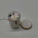 Zodiac Sign Candles, Zodiac Crystal Sign Candles,Astrology Scented Candles Best Friends Gifts for Women, Men Sister Brother Zodiac Funny Birthday Gift Candle Jar (Virgo)