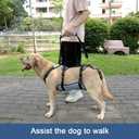 Coodeo Dog Lift Harness, Full Body Support & Recovery Sling, Pet Rehabilitation Lifts Vest for Old Dog with Arthritis Walk(Bule,XL)