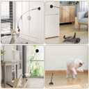 Suction Cup Cat Toys for Indoor Cats,3 in 1 Interactive cat Toys for Indoor Cats,Self Play or Handheld,Feathers & Bells,Realistic Toy Mouse and Silvervine SticksBlack