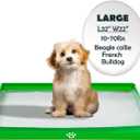 MEEXPAWS Dog Pee Pad Holder Foldable, Puppy Pad Holder Liner Base High Side, Dog Litter Box Indoor for Large Dog 33x22, Training Pad Holder Leak-Proof, Potty Pad Holder for Dogs Easy Clean (Green)