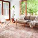 Loloi Layla Collection LAY11 Cinnamon/Sage 3'6" x 5'6" .13" Thick Accent Rug, Soft, Durable, Vintage Inspired, Distressed, Low Pile, NonShedding, Easy Clean, Printed, Living Room Rug