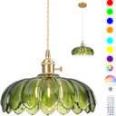 Battery Operated Pendant Light,Vintage Light Fixtures RGB Rechargeable Light Bulb 2500mAh 9.8in with Remote Control Wireless Adjustable Chandelier for Kitchen Island Hallway 1 Light