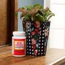 Mod Podge Gloss Sealer, Glue & Finish: All-in-One Craft Solution- Quick Dry, Easy Clean, for Wood, Paper, Fabric & More. Non-Toxic - Craft with Confidence, Made in USA, 16 oz., Pack of 1