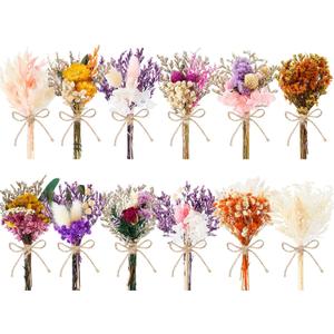 12/24 PCS Charming Dried Flowers Bouquet for Vase Various Dried Wildflowers with Stems Mini Handmade Wildflowers Natural Real Flowers Bulk Flowers Craft (Blossoms, 12 PCS)