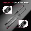BDFHYK PM1124 22in/171Lbs (761N) Tailgate Struts Lift Supports Car Hood Holder Gas Spring Compatible with Toyota Sienna 2011-2020, Set of 2