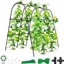 Cucumber Trellis for Raised Bed,U-Shape Garden Trellis for Climbing Plants Outdoor, Metal Arch Vegetables Trellis, Plant Support for Vine (Black, 47.2" Lx21.6 WX47.2 H-Medium)