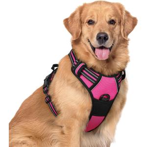 rabbitgoo Dog Harness No Pull with 2 Leash Clips, Adjustable Soft Padded, Reflective Oxford No Choke Pet Vest with Easy Control Handle for Large Dogs, Hot Pink, XL