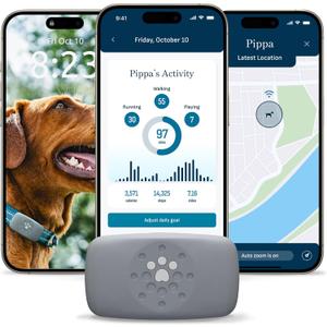 Petivity Smart GPS and Activity Pet Tracker for Dogs Powered by Purina, Waterproof Real Time Tracking GPS Dog Collar, Downloadable App, Subscription Required