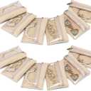 VLANDO Jewelry Travel Case, Travel Jewelry Organizer with Clear Velvet Jewelry Bags Zipper Pouch for Women Girl Gift 12Pcs Bag