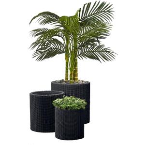 Keter Cylinder Set of 3 Rattan Resin Planter for Indoor and Outdoor Plants Ideal Decorative Planter for Porches and Patio Decor, Black