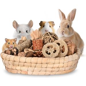 31PCS Rabbit Chew Treat Toys for Teeth Health, Natural Bunny Enrichment Toys for Boredom & Stress Relief, Keep Busy Toys for Guinea Pig Chinchilla Hamster Rat Gerbil Degu Indoor Outdoor