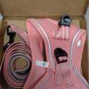 Puppy Harness with Leash Set, Dog Harness for Small Dogs (Pink, Size XS)