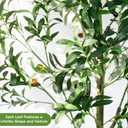 6ft Olive Trees Artificial Indoor with Pot, Faux Fake Olive Tree with Realistic Wood Trunk and Lifelike Fruits, Large Faux Plant for Home Living Room Entryway Office Decor