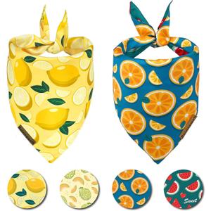 Cute Fruit Dog Bandanas 2 Pack, 4 Patterns Watermelon Lemon Orange Melon, Summer Dog Bibs for Large and XL Breed, Reversible Boy and Girl Pet ScarfLarge
