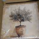 Olive Tree in Vessel Rustic Canvas Wall Art Neutral Botanical Wall Decor Pictures Antique Vintage Potted Plant Poster Prints for Farmhouse Kitchen Dining Room Home Decoration 12x12in Ready to Hang