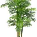 6FT Artificial Palm Tree - Tropical Faux Golden Cane Palm Tree UV Resistant Tall Fake Plant Indoor with Black Pot for Home Office Living Room Indoor Outdoor Decor Housewarming Gift