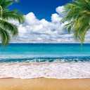 Summer sea Backdrop Tropical Beach Plants Photo Backdrop Hawaiian Ocean Blue Sky Background for Theme Party Supplies Studio Props 12692(7x5FT)