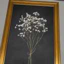 VIYYIEA Vintage Gold Framed Wall Art, Retro Dark Dried Wildflower Canvas, Aesthetic Classic Botanical Baby Breath Bouquet art, Victorian Wall Decor for Gallery Living Room Bathroom, 12x16inch