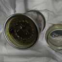 Tuscany Candle Forest Moss: Eucalyptus & Musk Scented Fall Candle, 18 oz
