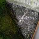 Preserved Sheet Moss Natural Green Decorative Real Natural Green DIY Kit Gardenning Art Wall Decor Florist Decor Easter Table Decor Wedding 2 sq.ft.Green-B