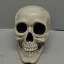 JOYIN Skeleton Halloween Decorations, Life Size Human Skull Model Indoor Outdoor Decorations for Trick-or-Treaters, Realistic Plastic Human Head Bone Tabletop Home Decor (6 x 5.5 x 7.5 Inches)